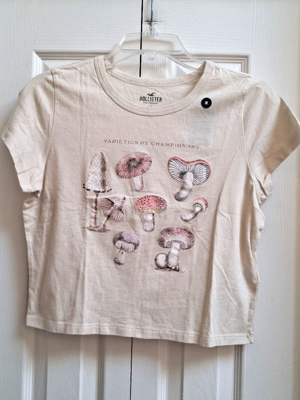 NWT HOLLISTER Mushroom Varieties de Champignons Baby Tee sz M